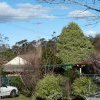 Molly Keenan's house in the Gully, Katoomba, still stands